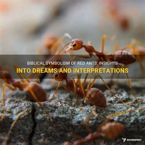 Crawling Critters: Decoding the Symbolism of Ants in Dreams