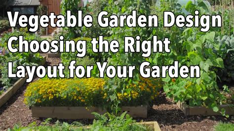 Creating Your Vegetable Wonderland: Choosing the Right Location for Your Garden