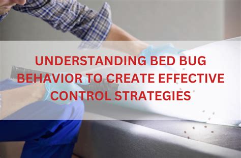 Creating a Bug-Free Environment: Effective Strategies for a Blissful Home