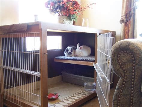 Creating a Safe and Comfortable Habitat for Your Bunny