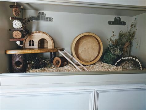 Creating the Perfect Habitat for Your Beloved Mouse Companions