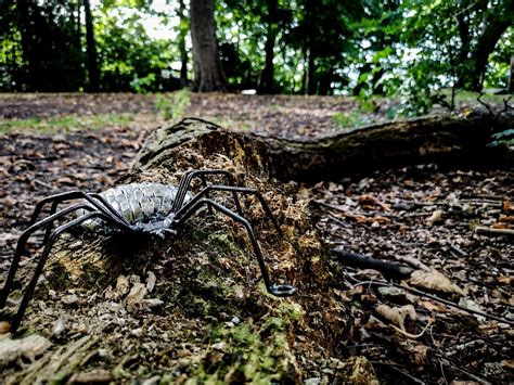 Creepy Crawlies: Experience the Disturbing Sensation of Uninvited Guests
