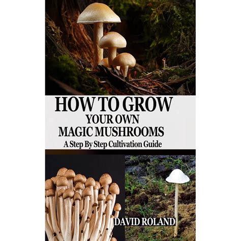 Cultivating Mushrooms: A Step-by-Step Guide to Growing Your Own