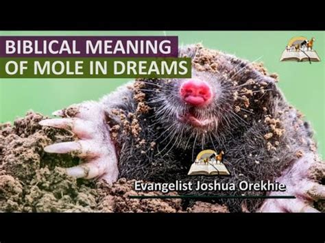 Cultural Beliefs and Superstitions: What Hairy Moles in Dreams Symbolize