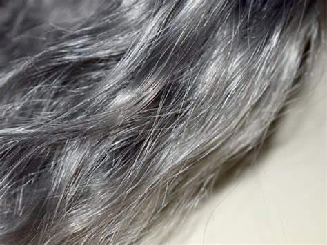 Cultural Influences: How Society Shapes the Interpretations of Gray Hair Vision