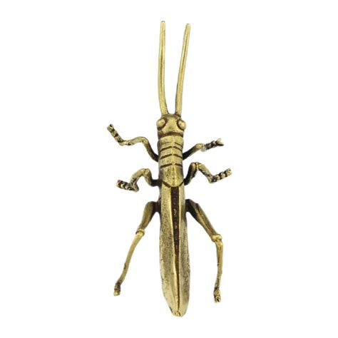 Cultural Interpretations: The Brown Locust as a Sign of Good Fortune