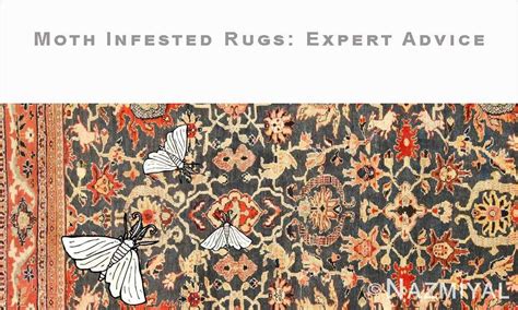 Cultural Perspectives: Diverse Viewpoints on Dreams featuring Infested Rugs