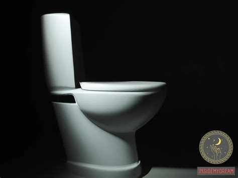 Cultural Perspectives on Toilet Symbolism in Dreams