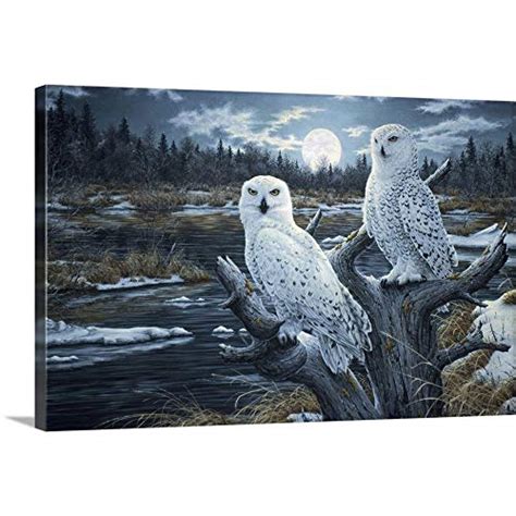 Cultural Significance: Snowy Owls in Mythology, Art, and Literature