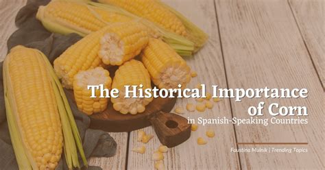 Cultural Significance and Historical Significance of Corn