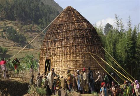 Cultural Significance and Traditional Uses of Bamboo Around the World