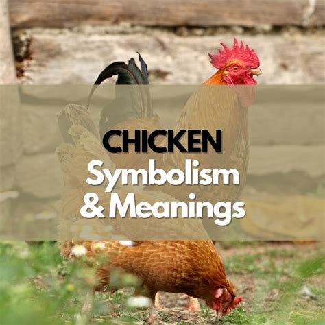 Cultural and Historical Importance of Chickens in Symbolism