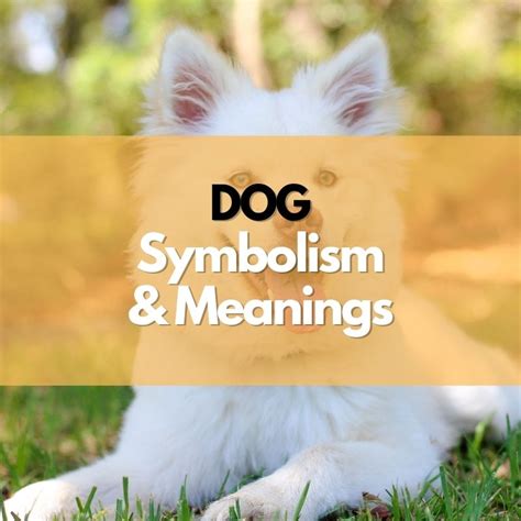 Cultural and Historical Perspectives: Exploring the Significance of Dogs and Food Symbolism Across Different Traditions