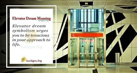 Cultural and Historical Perspectives on Elevator Dreams