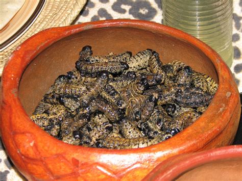 Cultural and Historical Significance: Worms in Meat as a Symbol