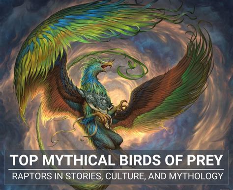 Cultural and Mythological Interpretations of Avian Mortality