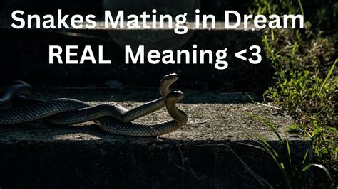 Cultural and Mythological Interpretations of Snake Mating Dreams