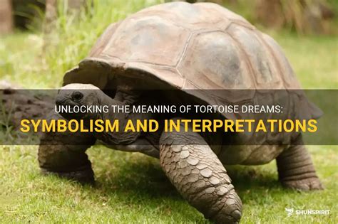 Cultural and Mythological References: Unearthing Connections between Tortoises and Dream Symbolism