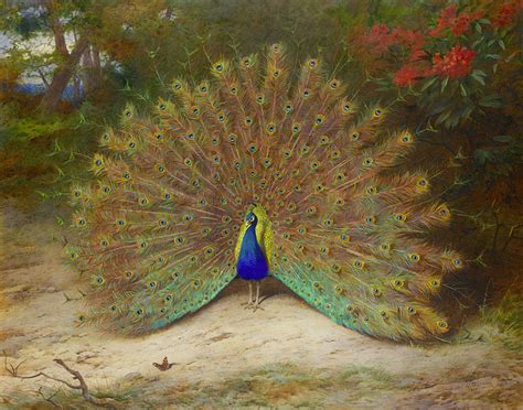 Cultural and Mythological References to Peacocks