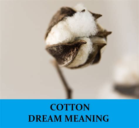 Cultural and Symbolic Interpretations of Harvesting Cotton Dreams