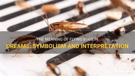 Cultural and Symbolic Meanings of Insects in Dream Imageries