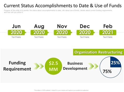 Current Financial Status and Professional Accomplishments