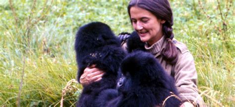 Daisy Fossey Biography