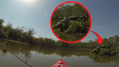 Dangerous encounters: Close Calls with Ferocious Crocodiles