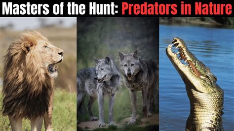 Daring Predators: Masters of the Hunt