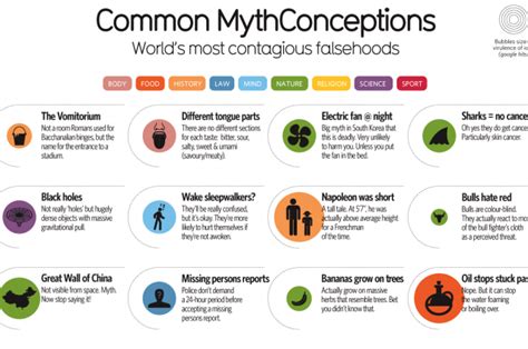 Debunking Common Myths and Misconceptions about Maggot Cultivation