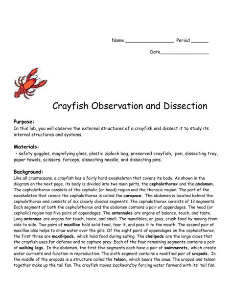 Deciphering Crayfish Observation Dreams: Pointers and Strategies