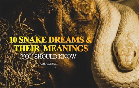 Deciphering Serpent Dreams: A Psychological Insight