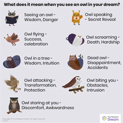 Deciphering Significance of Owl Pursuit in Dreams