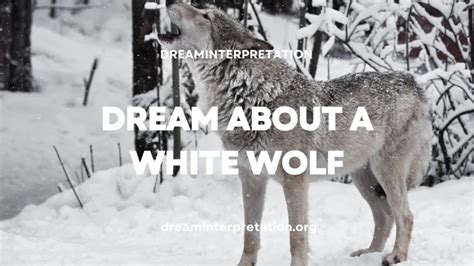 Deciphering the Emotional Response to a Ferocious Wolf Encounter Dream