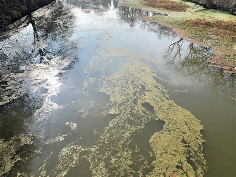 Deciphering the Enigma of Murky Water Imagery