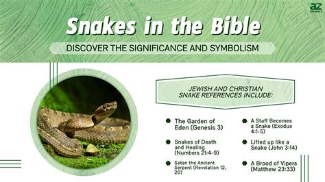 Deciphering the Enigma of Snake Symbolism