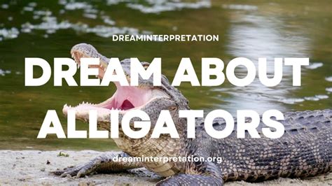 Deciphering the Hidden Messages behind a Crocodile's Aggressive Behavior in Dream Analysis