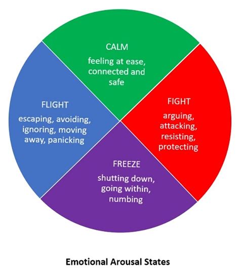 Deciphering the Link Between Blood and Emotional States in Dreams