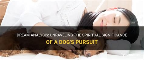 Deciphering the Message: Unraveling the Meaning Behind Canine Pursuit in Dreams