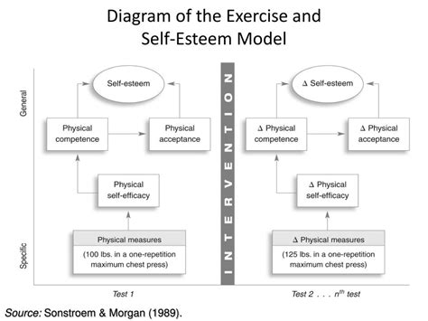 Deciphering the Physique and Exercise Regimen of the Esteemed Individual