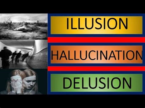 Deciphering the Puzzles of Delusions and Hallucinations