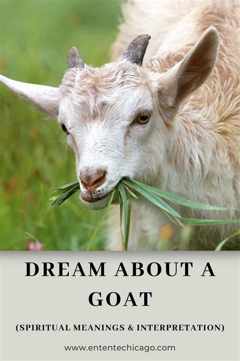 Deciphering the Significance of Goat Appearances in One's Dreams