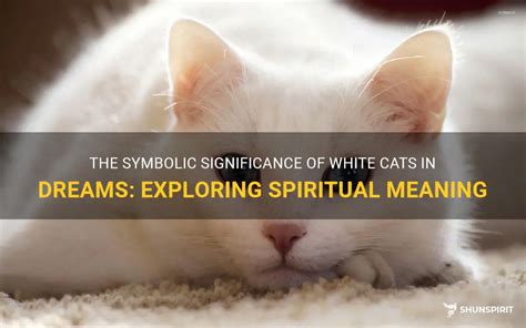 Deciphering the Symbolic Language of Emaciated Felines in Dreams