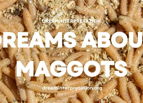 Deciphering the Symbolic Significance and Psychological Implications of Maggot Dreams