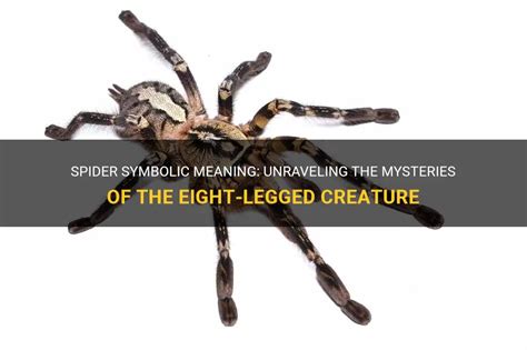 Deciphering the Symbolic Significance of Eight-Legged Creatures in Dreams