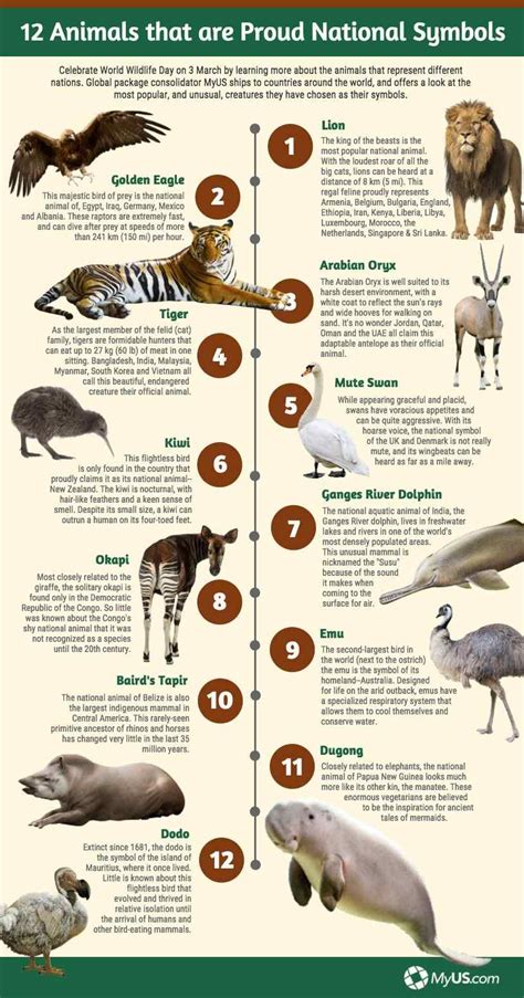 Deciphering the Symbolism: Wildlife in Varied Aquatic Environments