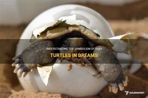 Deciphering the Symbolism of Being Nipped by a Turtle in Dreams