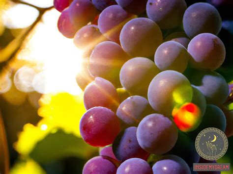 Deciphering the Symbolism of Grape Leaf Dreams: Unraveling their Hidden Meanings