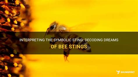 Decoding Bee Sting Dreams: Analyzing the Possible Interpretations