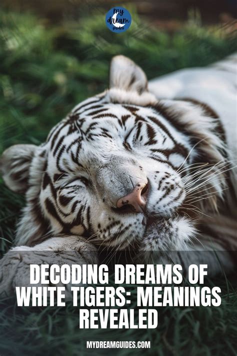 Decoding Dreams of Broken or Missing Tiger Teeth